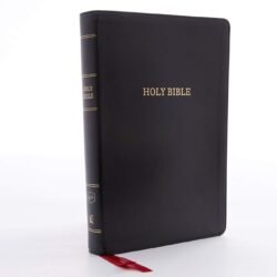 KJV (King James Version )Bible